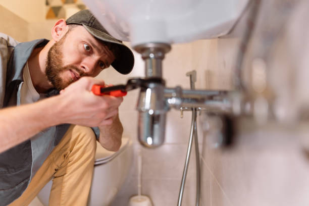 Best Commercial Plumbing Services  in Homestead Meadows South, TX