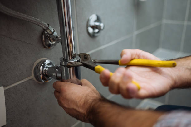 Best Plumbing System Maintenance  in Homestead Meadows South, TX