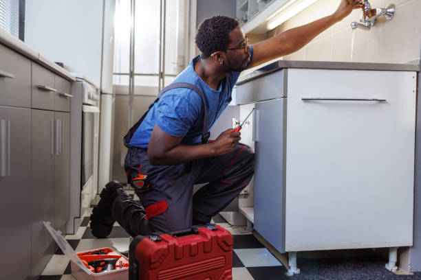 Best Residential Plumbing Services  in Homestead Meadows South, TX